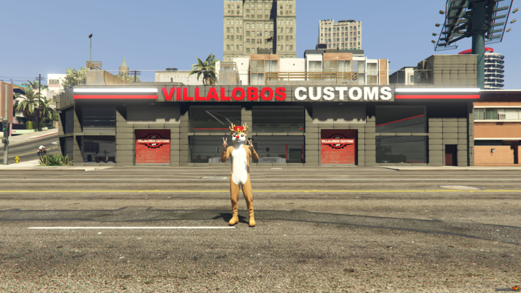 Villalobos Customs