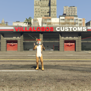 Villalobos Customs